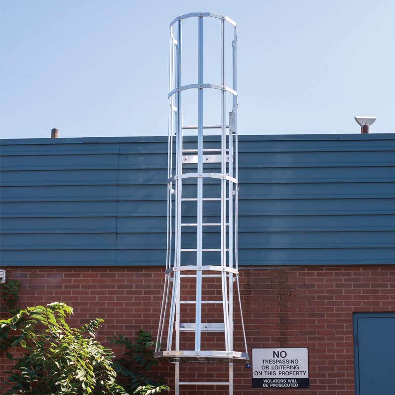 Fixed access ladder with a cage
