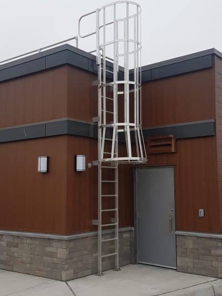 Cage Ladder